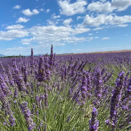 04b4 Beautiful In A Mas Provençal - Pool * Brunet
