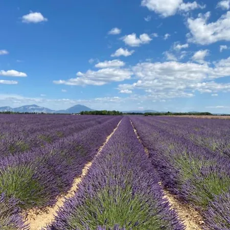04b4 Beautiful In A Mas Provençal - Pool Appartamento *