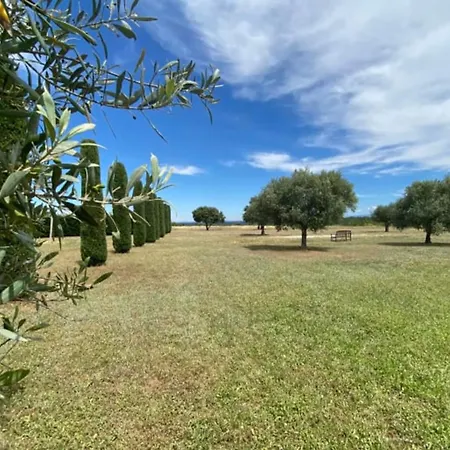 04b4 Beautiful In A Mas Provençal - Pool Appartamento Brunet