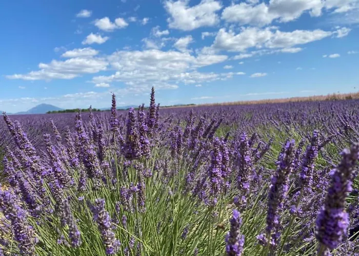04b4 Beautiful In A Mas Provencal - Pool * Brunet